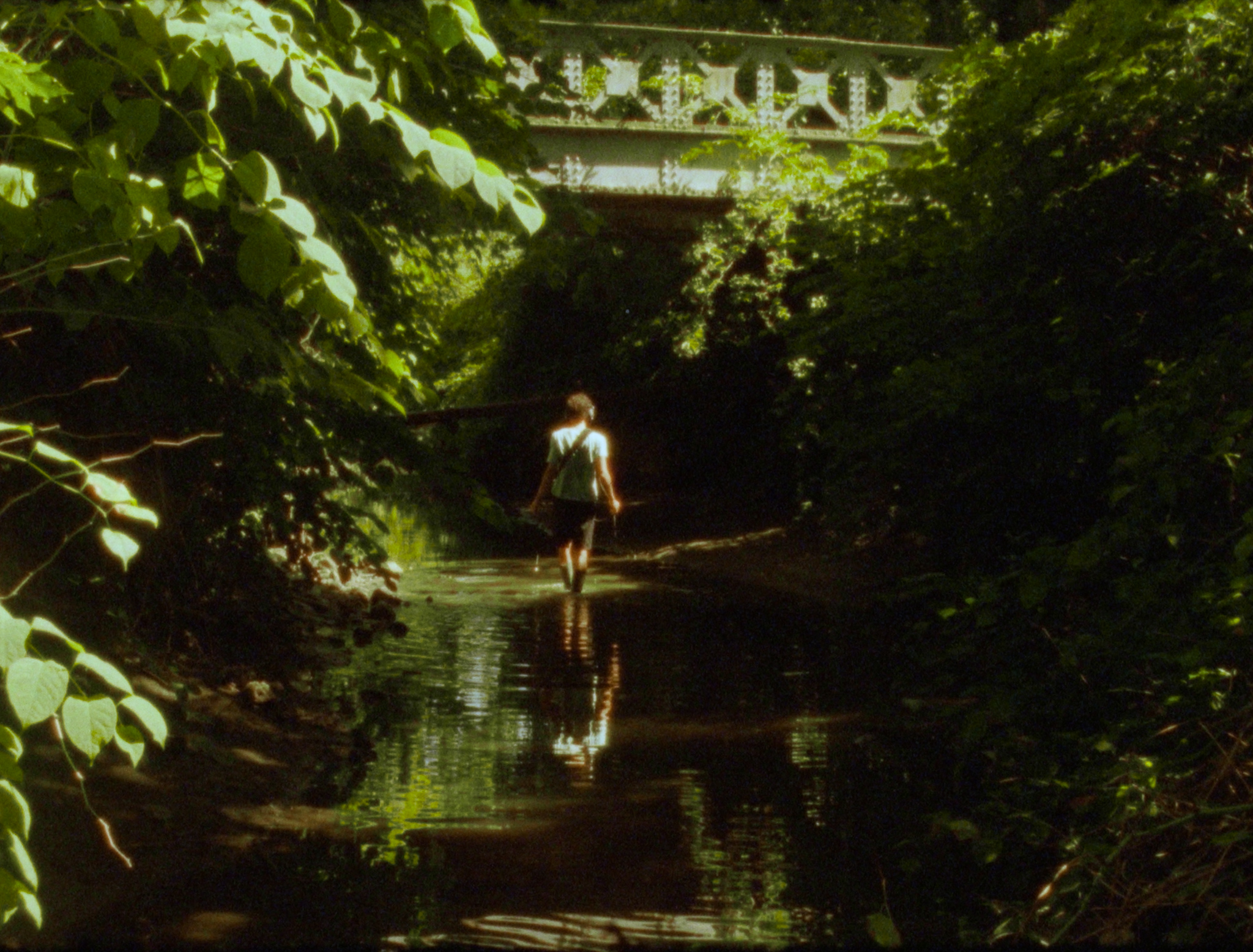 Still of a pond
